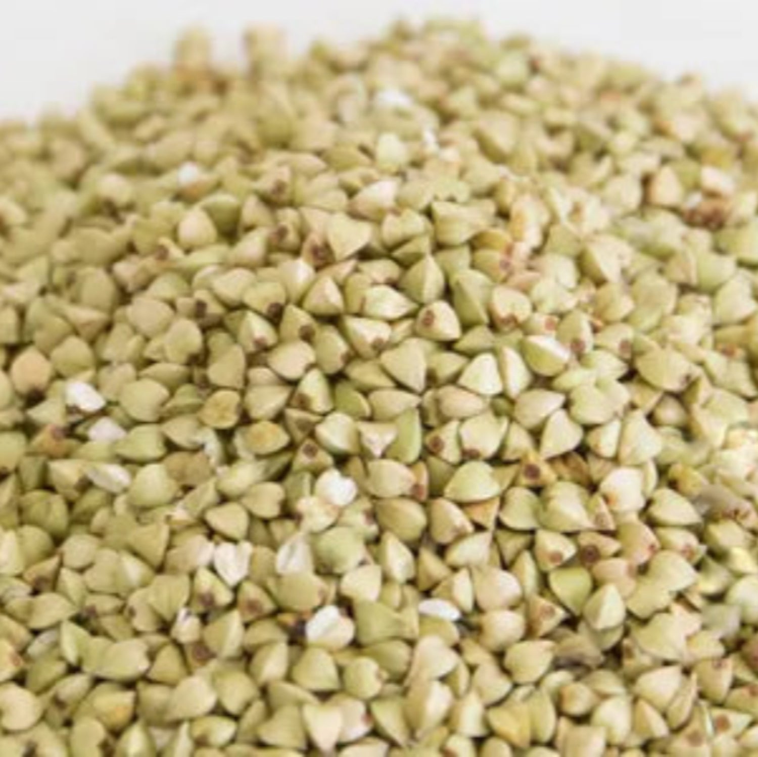 イチカラ畑 食べてもおいしい魚沼そば茶 80g (1ケース48個入)