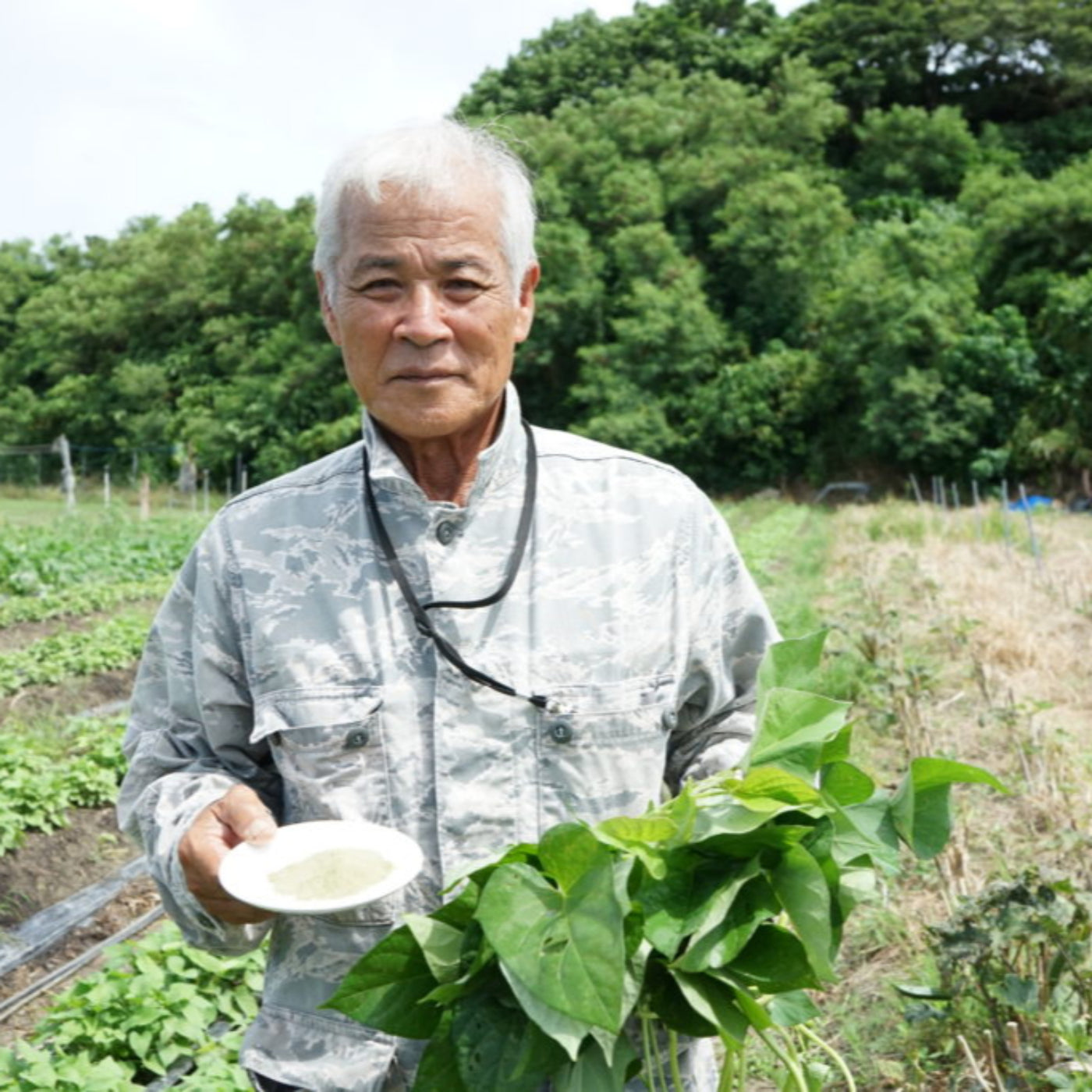 Okinawan Beniimo Purple Sweet Potato Powder 2.2lbs/1kg (Pack of 10)