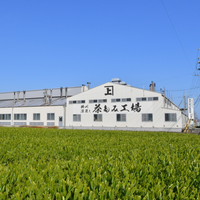 佐々木製茶 ほうじ茶パウダー　かえで 1kg (1ケース1個入）