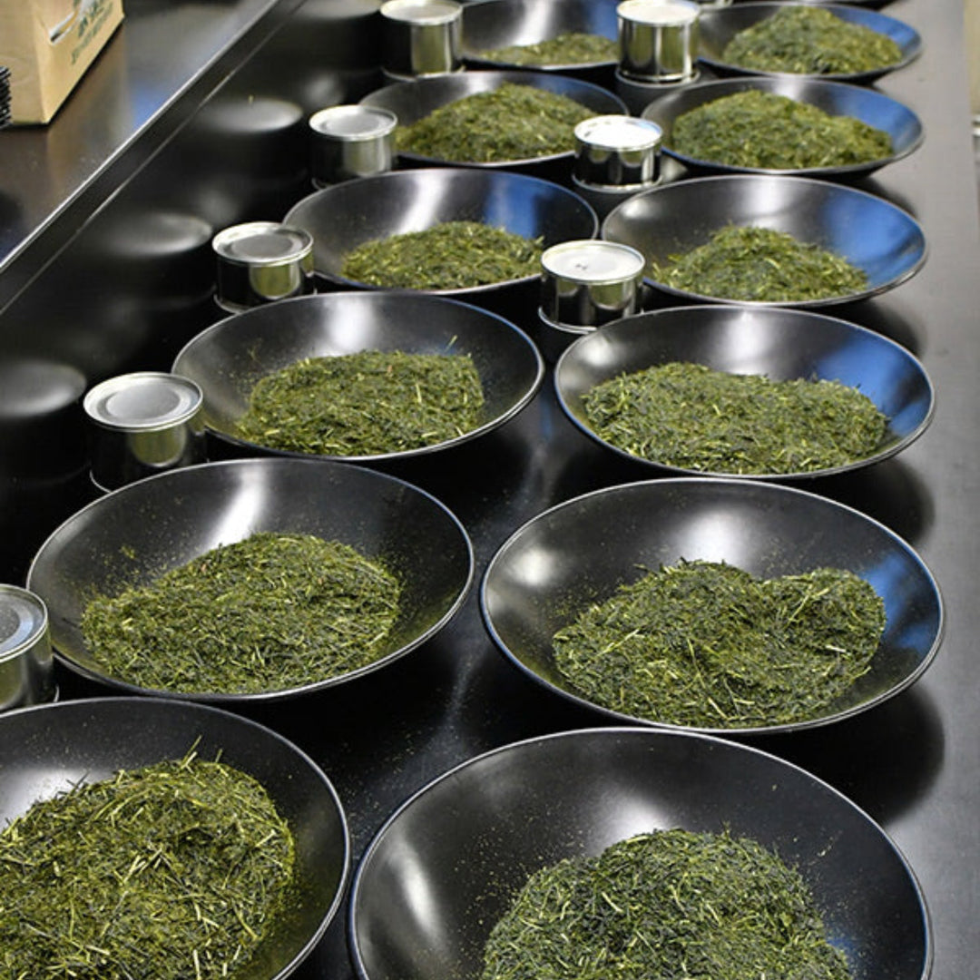 1kg さつき 掛川抹茶 佐々木製茶 抹茶　パウダー　掛川　1kg (1ケース1個入） glocal-depot - 調理器具