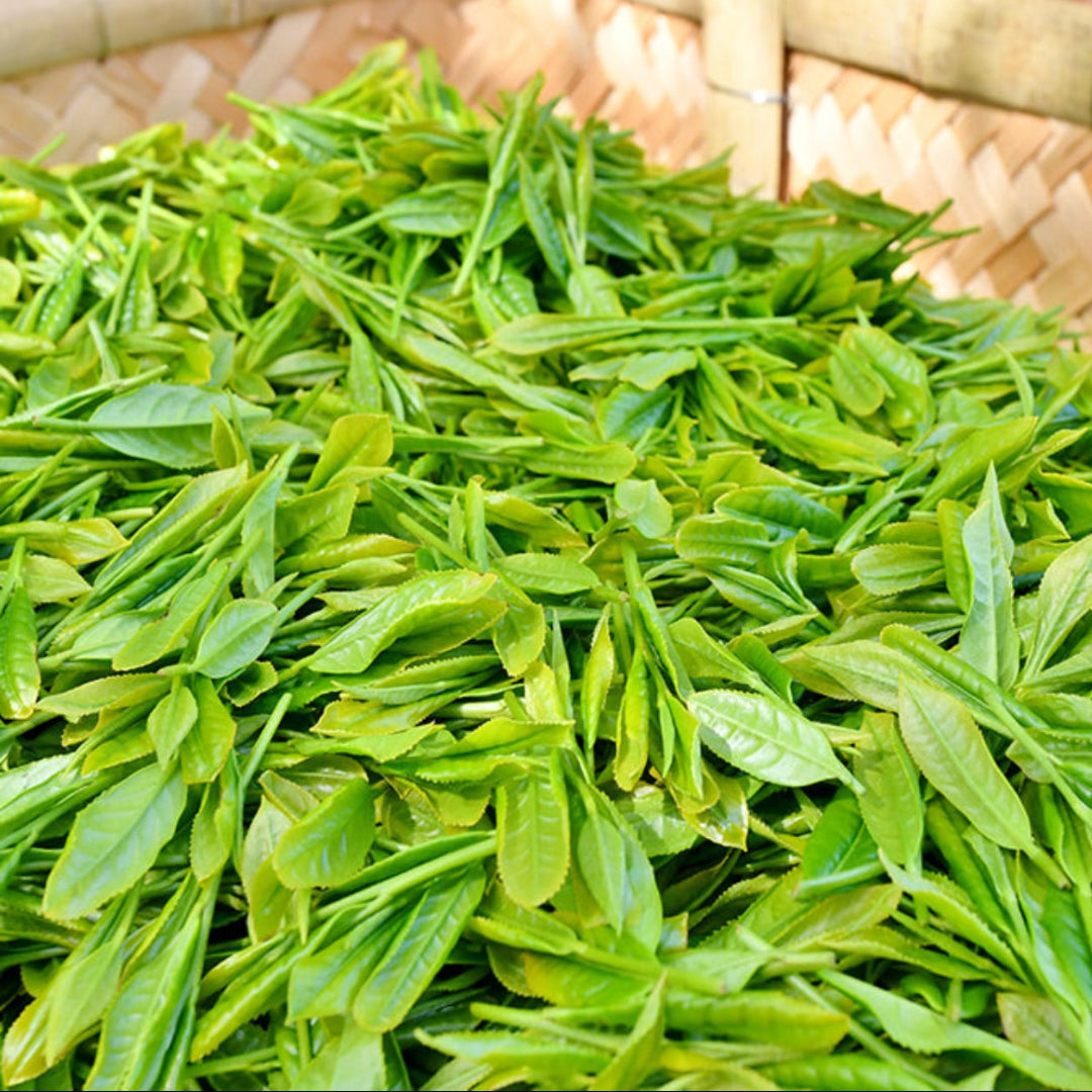 佐々木製茶 掛川抹茶 さつき 1kg (1ケース1個入） - glocal-depot
