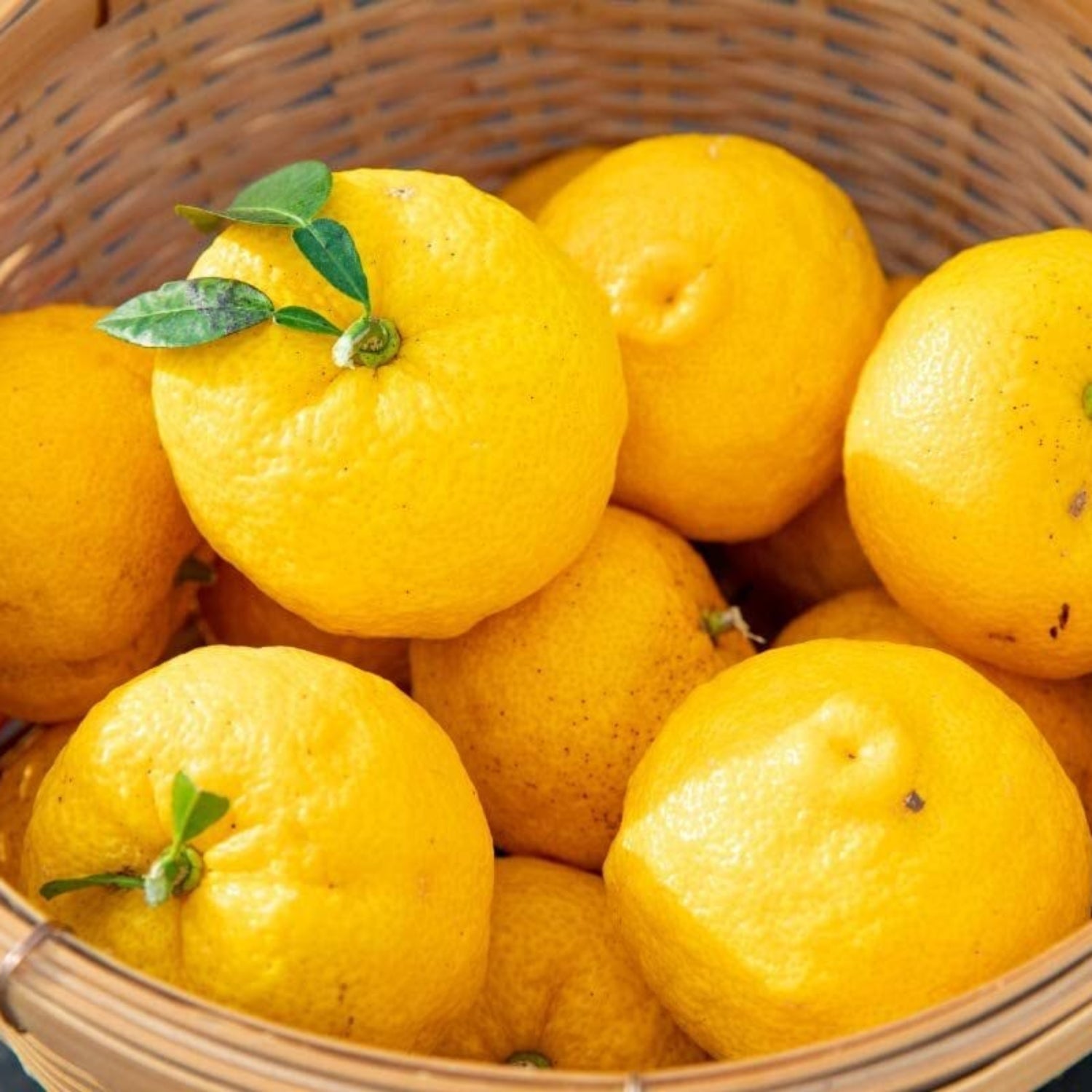 Kawane Yuzu Powder (Whole Fruit)