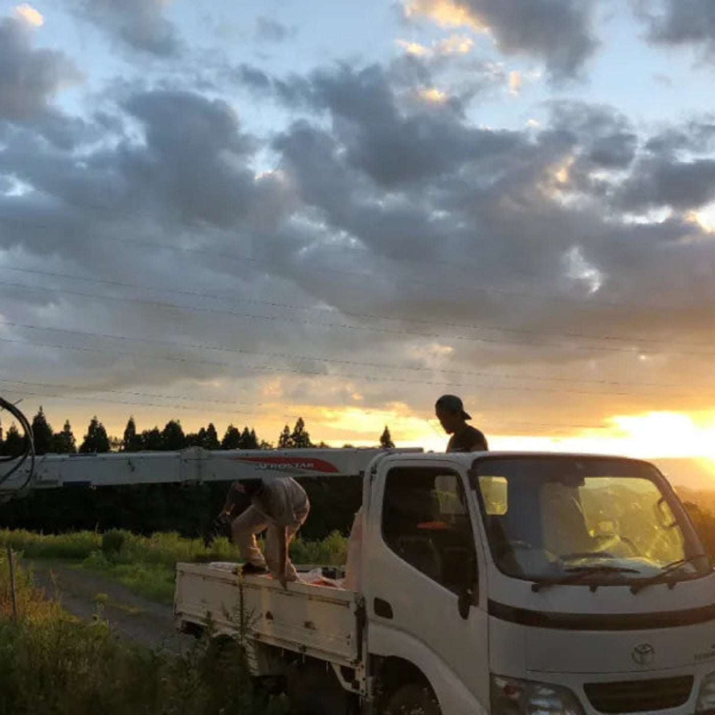 Ichikara 100% Buckwheat Dried Soba Noodles 6.35oz/180g (Pack of 36)