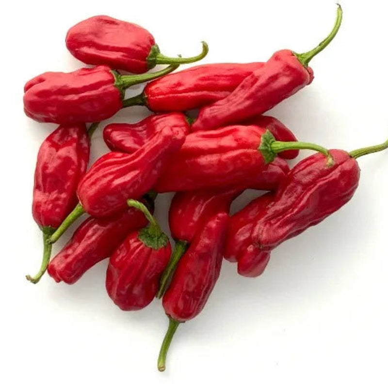 Savory Recipes & Ideas