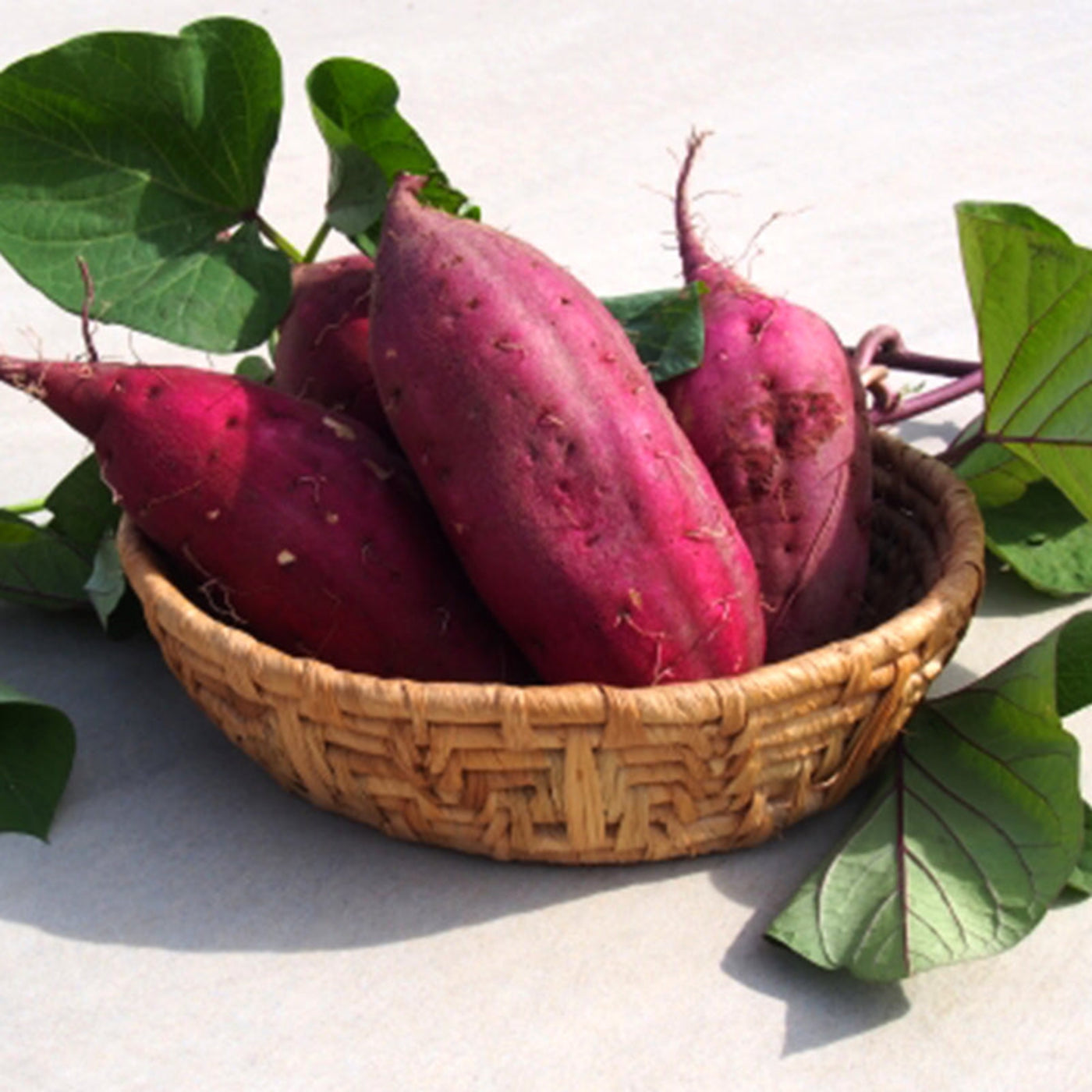 Okinawan Beniimo Purple Sweet Potato Powder 2.2lbs/1kg (Pack of 10)