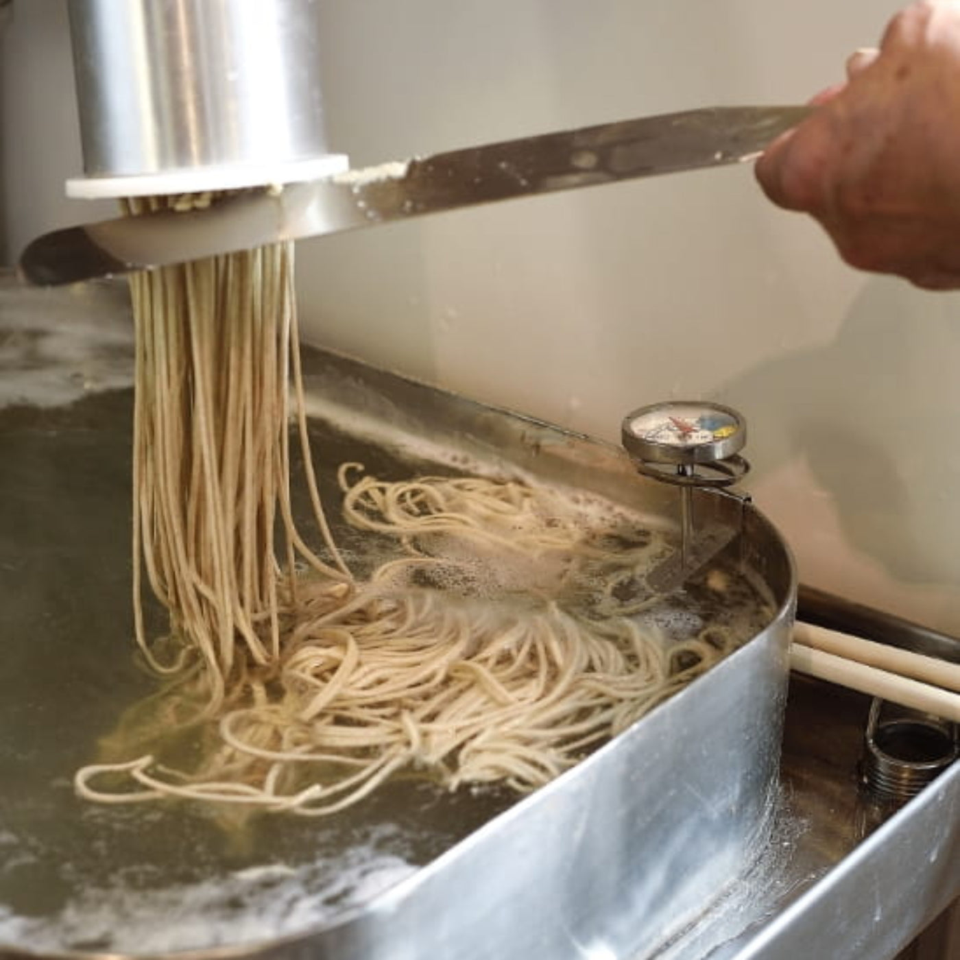 Kaneko Seimen Whole Wheat Thick Udon Noodles – 30 Bundles 8.47oz/240g (Pack of 30)